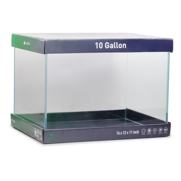 ZenScape Rimless Aquarium – 10 Gallon - Image 2