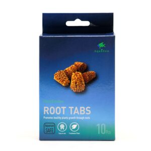 Root Tabs